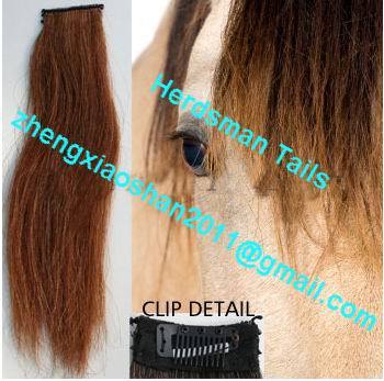 Herdsman horse tails , horse manes , horse forelocks