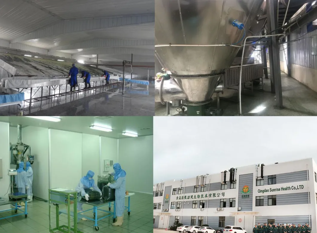 High Quality Lower Price Spirulina Powder