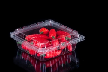 Disposable Agricultural Product Container