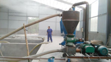 Grain Transport Roots Vacuum Pump