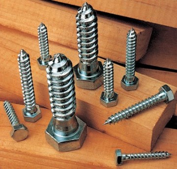 Hexagon wood screws- DIN571
