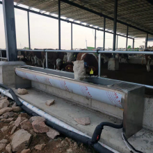 10 Gallon Livestock Water Trough for Cows and Cattle Drinking