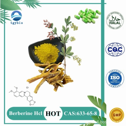 98% Berberinhydrochlorid/Berberin HCl Berberin -Kapseln