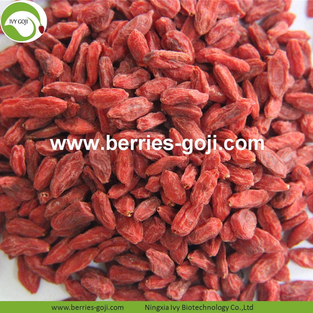 goji berry