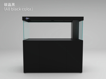 Spacious Fish Habitat with Modern Design