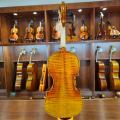 European mateial professional complete handmade violin