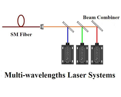 Confocal Laser Scanning Microscopy