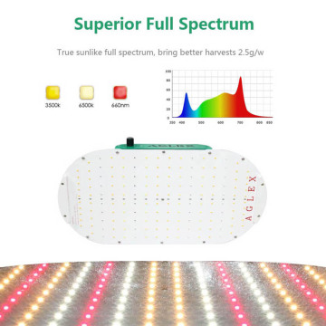 LED LED LEAD VERTIKAL Tumbuh Cahaya 1000 Watt