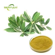 Natural Olive Leaf Extract Powder