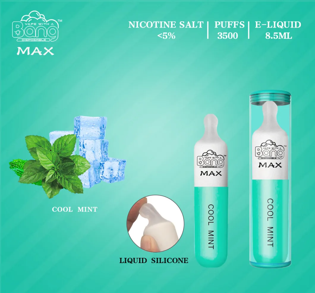 Factory Wholesale Hot in Australia Disposable Vape 3500 Puffs with 10 Flavors Bang Max
