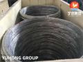 ASTM A269 TP316L SS COIL SMLS