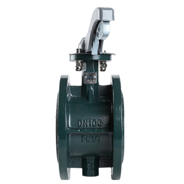 Double flanged rubber seated Butterfly valve