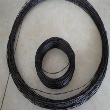 Double strand iron wire