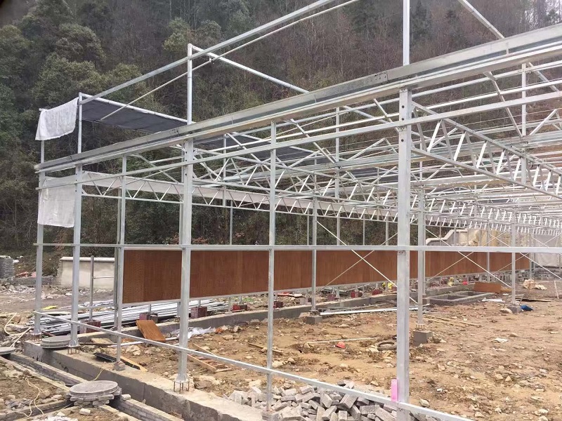 Qingcheng Agriculture establece un proyecto de demostración de invernaderos de vidrio en las montañas del norte de Guizhou Qingcheng Agriculture Establishes Glass Greenhouse Demonstration Project in the Mountains of Northern Guizhou