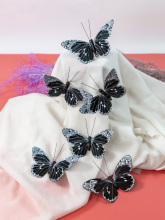 Butterfly nature craft