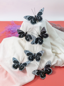 Butterfly nature craft