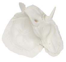 Anatomical magnification of the temporal bone