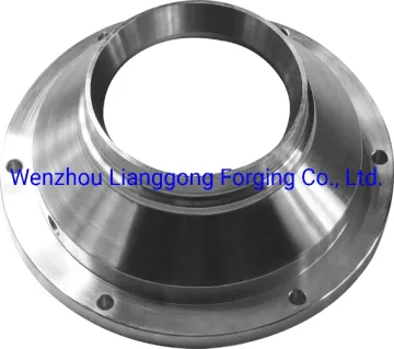 Customized Hot Forged Various Steel Flange Forging