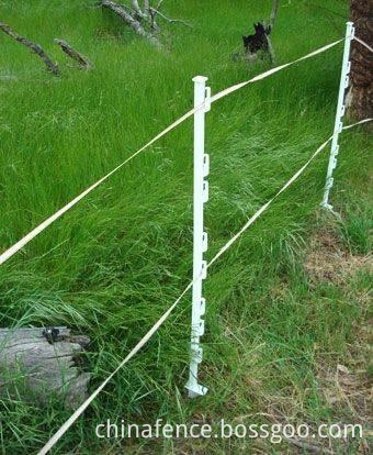 t_post_electric_fence_post