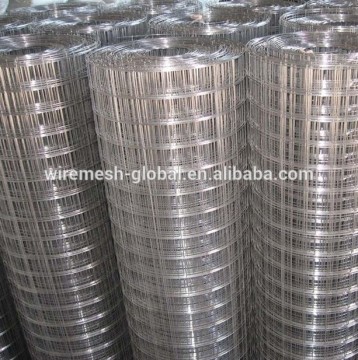 Welded Wire Mesh Rolls