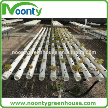 NFT Hydroponics System