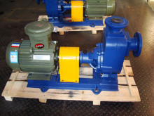 Cyz Centrifugal Cargo Diesel Oil Pump