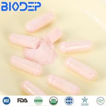 Probiotic Capsules in Bulk Dietary Supplements