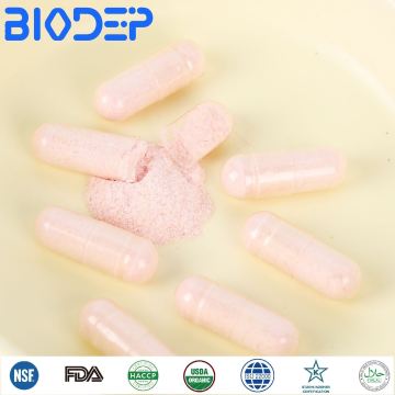 Probiotic Capsules in Bulk Dietary Supplements