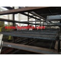 Multipurpose Industrial Fruit Drying Machine