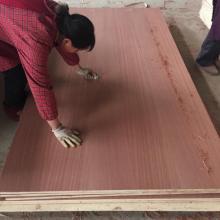 natrual SAPELE veneer BLOCKBOARD FALCATA CORE FOR JORDAN MARKET 18mm