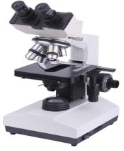 Binocular Head Microscope M29107B