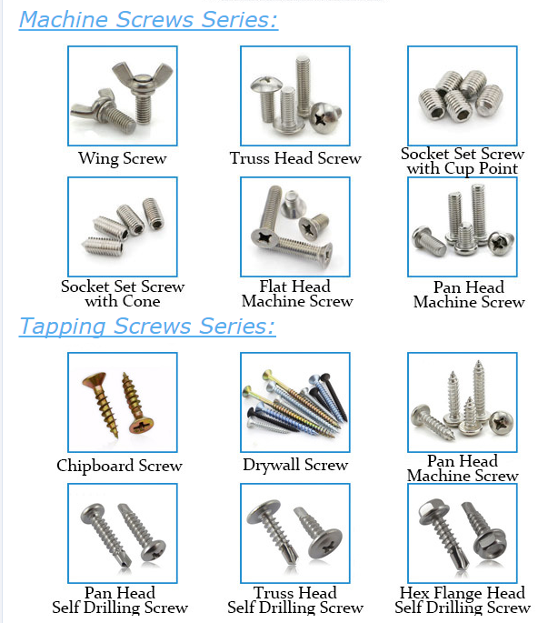 Stainless Steel bolts