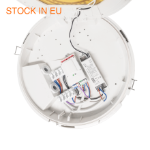 Holux 2CCT Motion Sensor Waterproof Outdoor Ceiling Lights