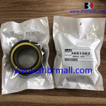 CAT Motor Grader Seal Kits - Part Number 3651283: Your Comprehensive Search Engine