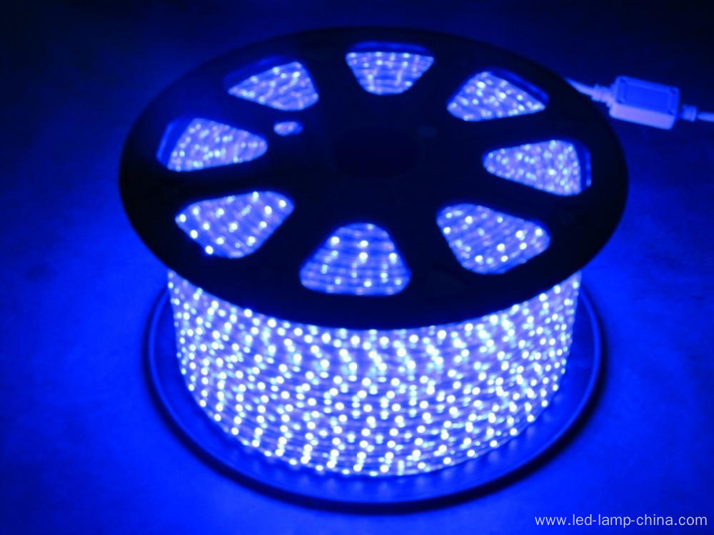 AC 220V flexible 5050 led strip