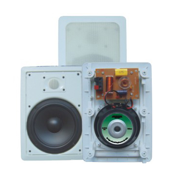 In-wall Speaker?