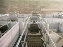 Elevated Sow Farrowing Crates