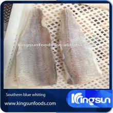 Blue Whiting Fish Supply