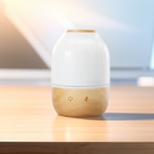 130ML Home Ceramic Ultrasonic Diffuser