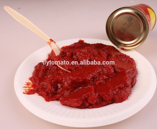 Tomato Paste & ketchup size 850g factory for gobal market