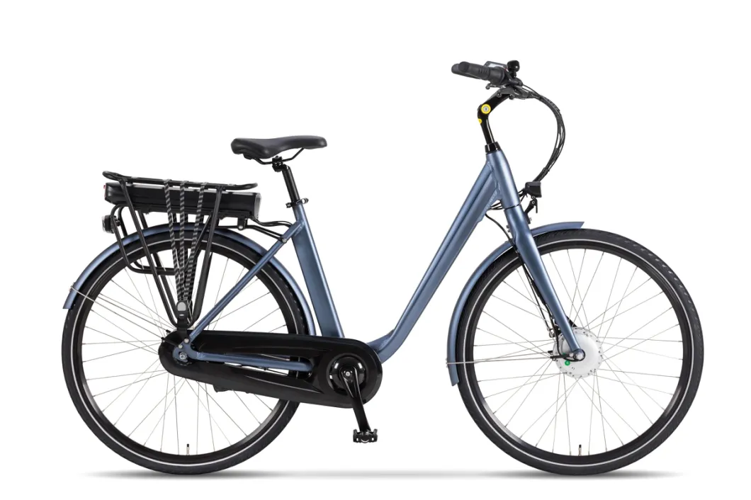 High Quality Road City Electric Bike with 350W Hub Motor