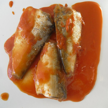 Sardine in Dosen in heißer Tomatensauce 155g