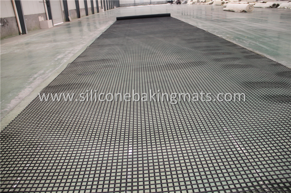 Polyester Geogrid Retaining