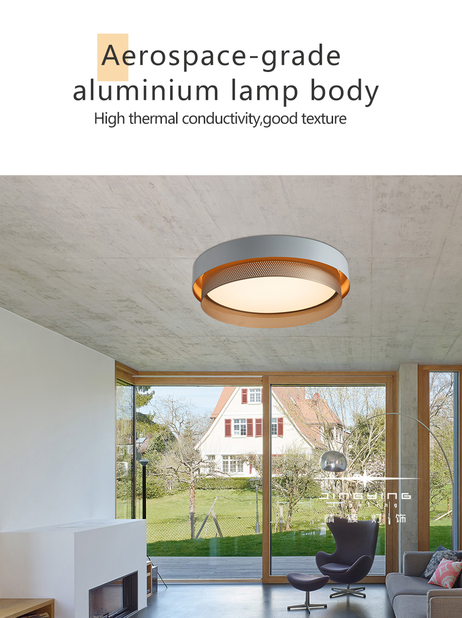 Minimalist Ceiling Lamp Ceiling Light 0355 6