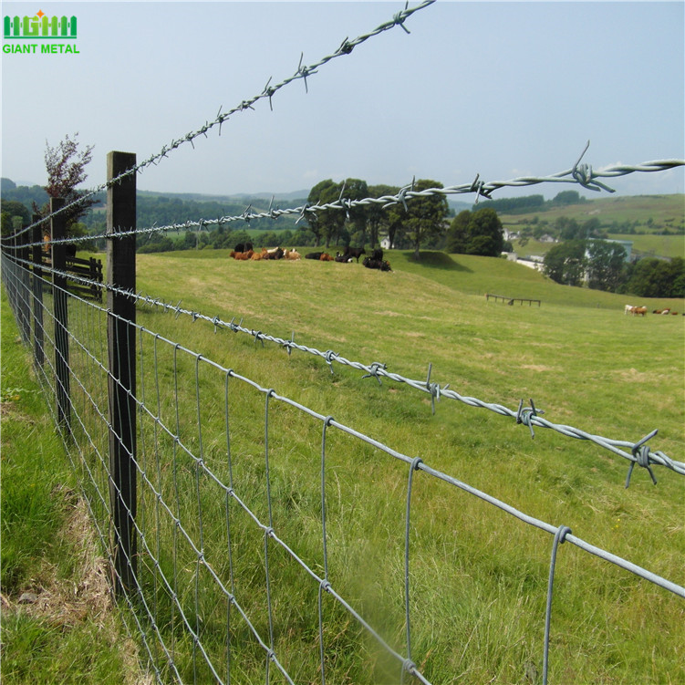 Cheap Galvanized Barbed Wire Fence