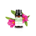 Pure Therapeutic Grade Cistus Essential Oil For Aromatherapy