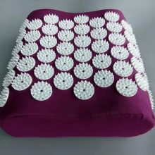 Direct Factory Yoga Massage Pillow: Acupuncture and Acupressure Cushion for Neck and Head Pain Relief