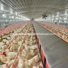Compelete Poultry Control Shed Equipment for Breeder