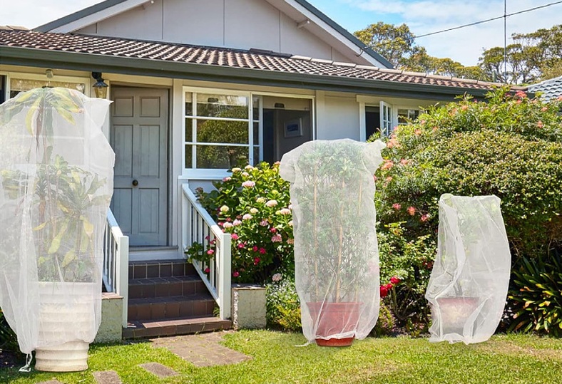 پوشش خالص حشرات کشاورزی