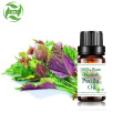 Natural perilla leaves essential oil OEM customize label